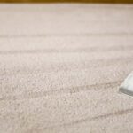 This is a photo of a carpet steam cleaner cleaning a cream carpet works carried out by Hendon Carpet Cleaning